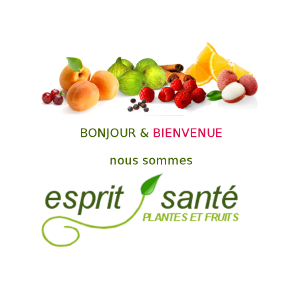 Bienvenue, nous sommes Esprit Sant&eacute;