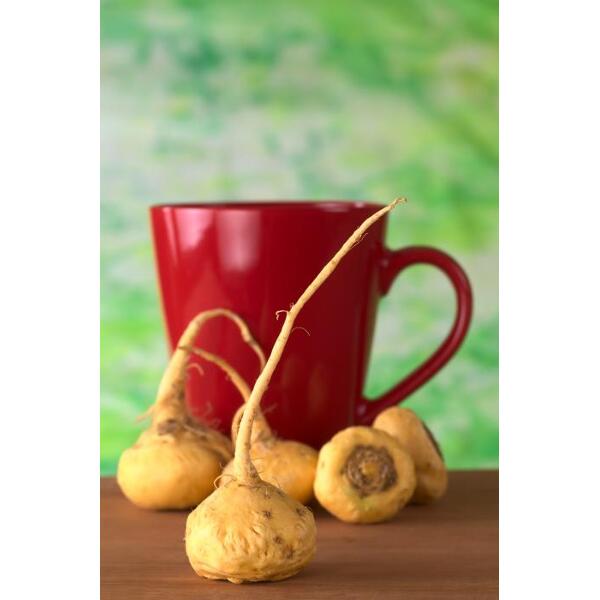 racine maca bio fructivia
