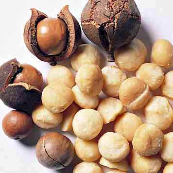 macadamia bio