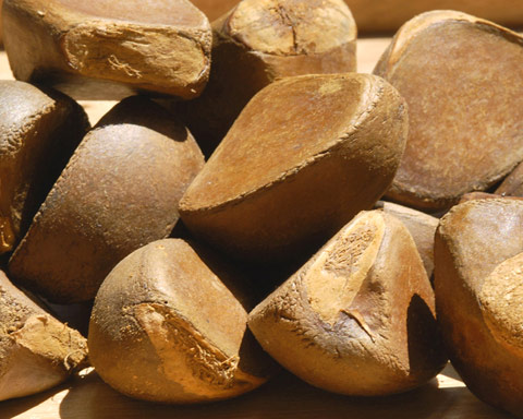 Graines d'Andiroba