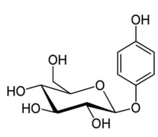 arbutine