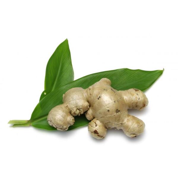 gingembre bio