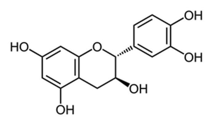catéchine