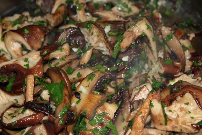 Fricassé de champignon