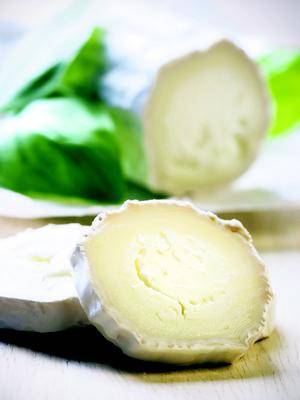 fromage de chevre